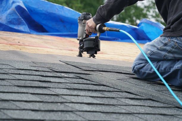 Roof Moss and Algae Removal in Fairview, TX